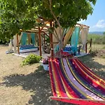 Seafront Oasis