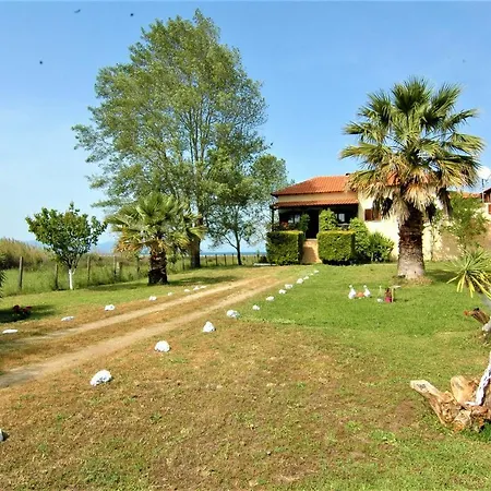 Seafront Oasis *