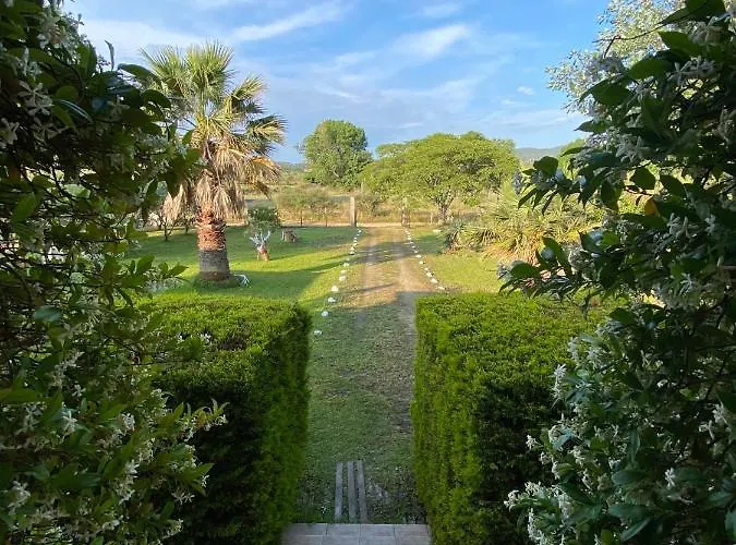 Seafront Oasis Ierissos