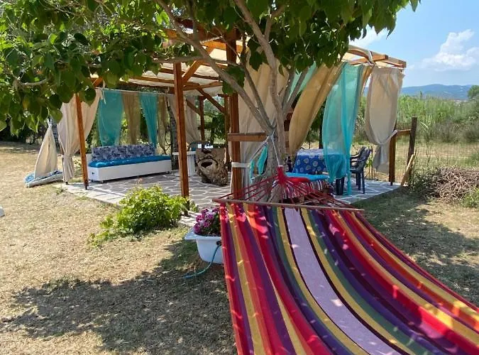 Seafront Oasis